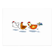 Trois poussins cartes postales