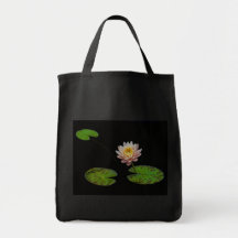 Trois protections de lis avec la fleur sac