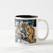 Trois tigre CUB en cadeaux d'art de neige Tasses À Café