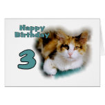 Troisième carte heureuse de chat de calicot d'anni