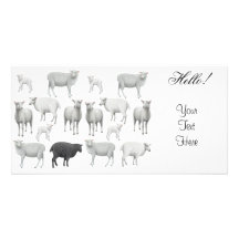 Troupeau de carte photo de moutons cartes de vœux avec photo