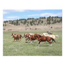 Troupeau et cowboy de cheval photos sur toile