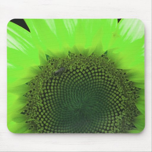 Trouvez l'abeille 1B Tapis De Souris