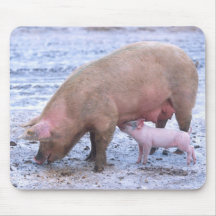 Truie et porcelet tapis de souris