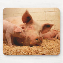 Truie et porcelets tapis de souris