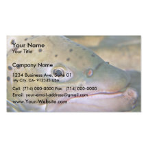 Truite de Brown Carte De Visite