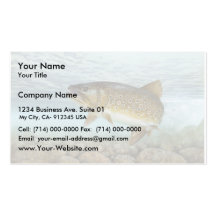Truite, ruisseau cartes de visite professionnelles