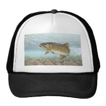 Truite, ruisseau casquette de camionneur