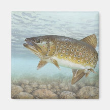 Truite, ruisseau magnets pour réfrigérateur