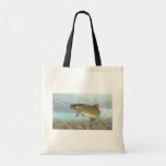 Truite, ruisseau sacs en toile