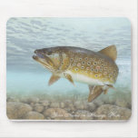 Truite, ruisseau tapis de souris