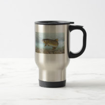 Truite, ruisseau tasses à café