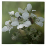 Tuile - abeilles dans les fleurs de Blackberry Carreaux