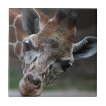Tuile adorable de girafe carreau en céramique