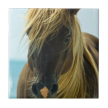 Tuile de mustang carreaux