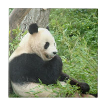 Tuile de panda carreaux