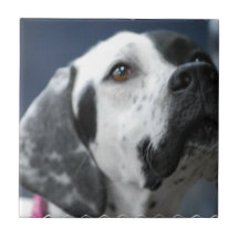 Tuile noire et blanche de chien d'indicateur carreau