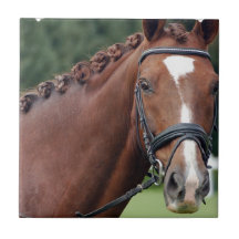 Tuile tressée de crinière de cheval carreau