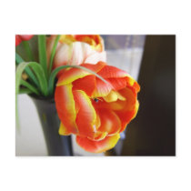 Tulipe en soie cartes postales