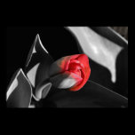 Tulipe nouveau-née rouge posters