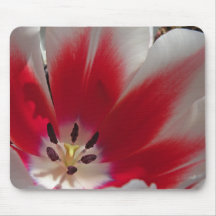 Tulipe rouge et blanche Mousepad Tapis De Souris