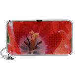 Tulipe rouge haut-parleur de voyage