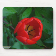 Tulipe rouge tapis de souris
