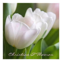 Tulipes blanc • Save-the-Date-Postkarte Bristol