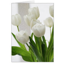 Tulipes blanches - art-DB Cartes De Vœux