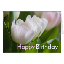 Tulipes blanches • Carte de voeux d'anniversaire