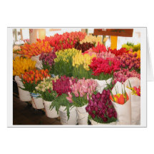 Tulipes Cartes De Vœux