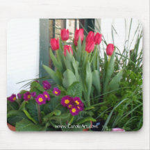 Tulipes de 1 primevère tapis de souris
