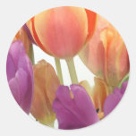 Tulipes de rose et de lavande autocollants
