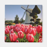 Tulipes et fleurs rouges rouges de moulin à vent aimant pour réfrigérateur