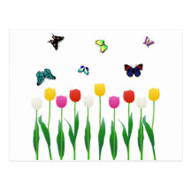 Tulipes et papillons cartes postales