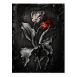 Tulipes gothiques cartes postales