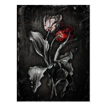 Tulipes gothiques cartes postales