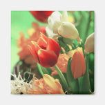 Tulipes heureuses de Pâques Magnets Pour Réfrigérateur
