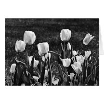 Tulipes heureuses noires et blanches carte de vœux