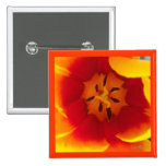 Tulipes jaunes rouges II Pin's Avec Agrafe