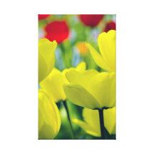 Tulipes jaunes toiles tendues