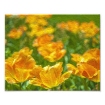 Tulipes peintes photographie