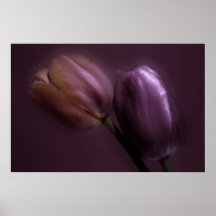 TULIPES AFFICHE