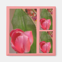 Tulipes pour vous aimant