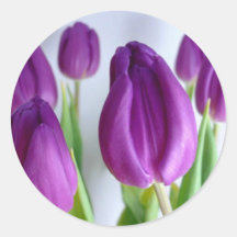 Tulipes pourpres adhésif