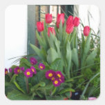 Tulipes pourpres de rouge de primevères autocollants
