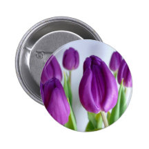 Tulipes pourpres pin's