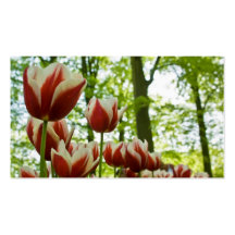 Tulipes Profilecard Cartes De Visite Professionnelles