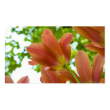 Tulipes Profilecard Modèle De Carte De Visite