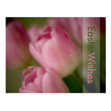 Tulipes roses • Carte postale de Pâques